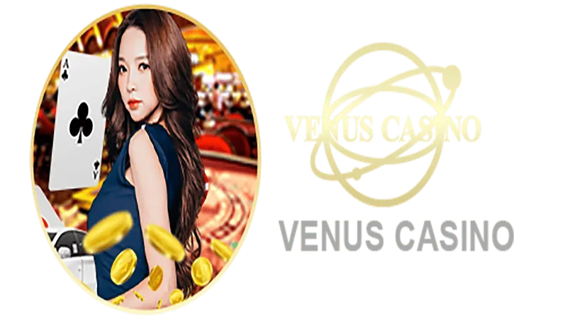 360BET Informações básicas sobre o saguão do cassino Venus